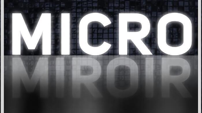 Micro miroir